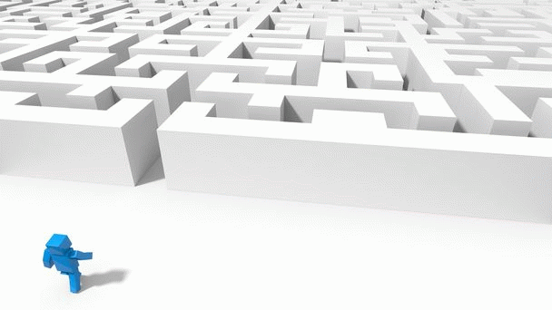 آشپزی در دل طبیعت گیلان: تجربه‌هایی ناب از نی نی سایت