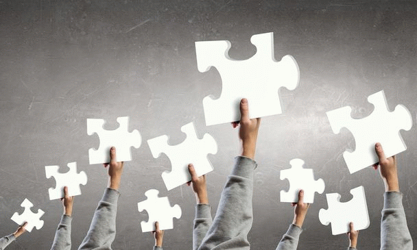 حقایقی درباره گربه ساوانا گوش دراز