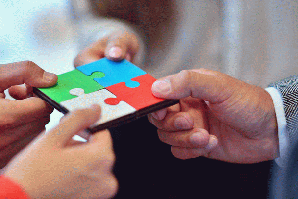 غذای توله سگ دو ماهه: 16 نکته برای تغذیه اصولی